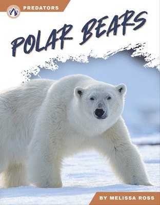 Melissa Ross - Polar Bears, Häftad