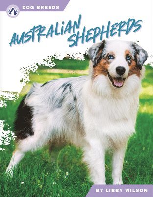 bokomslag Dog Breeds: Australian Shepherds