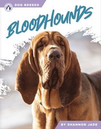 bokomslag Bloodhounds