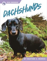 bokomslag Dog Breeds: Dachshunds