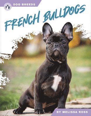 bokomslag French Bulldogs