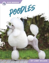 bokomslag Poodles