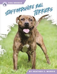 bokomslag Dog Breeds: Stafforshire Bull Terriers
