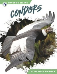 bokomslag Nature's Giants: Condors