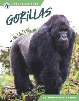 bokomslag Gorillas