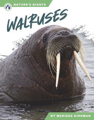 Marissa Kirkman - Walruses, Inbunden