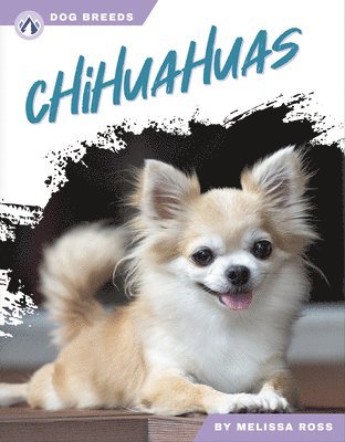 bokomslag Chihuahuas