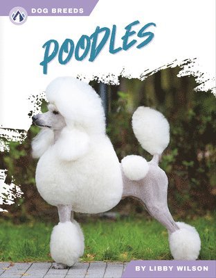 Dog Breeds: Poodles 1