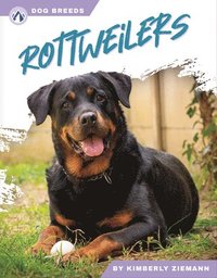 bokomslag Dog Breeds: Rottweilers