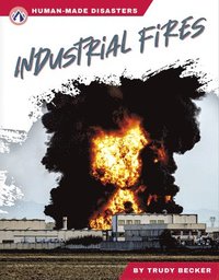bokomslag Human-Made Disasters: Industrial Fires