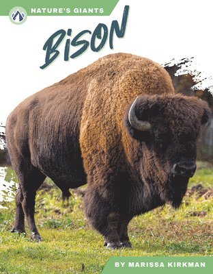 bokomslag Nature's Giants: Bison