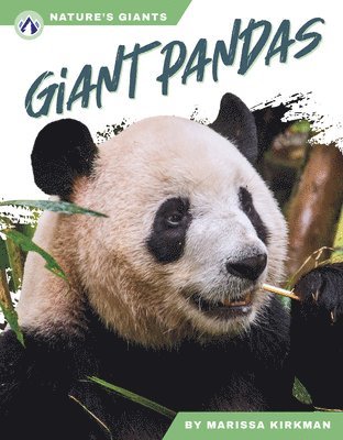 Giant Pandas 1