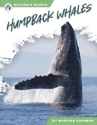 bokomslag Humpback Whales