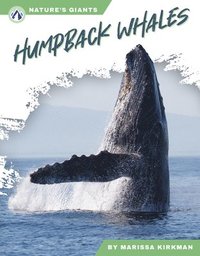 bokomslag Nature's Giants: Humpback Whales