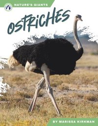 bokomslag Nature's Giants: Ostriches