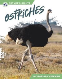 bokomslag Ostriches