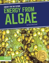 bokomslag Energy for the Future: Energy from Algae
