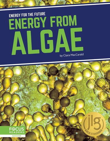 Clara MacCarald - Energy from Algae, Inbunden