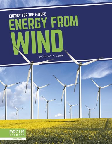 bokomslag Energy from Wind