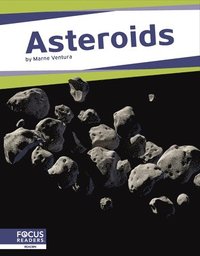 bokomslag Asteroids