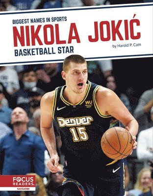 bokomslag Nikola Joki