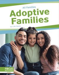 bokomslag Adoptive Families