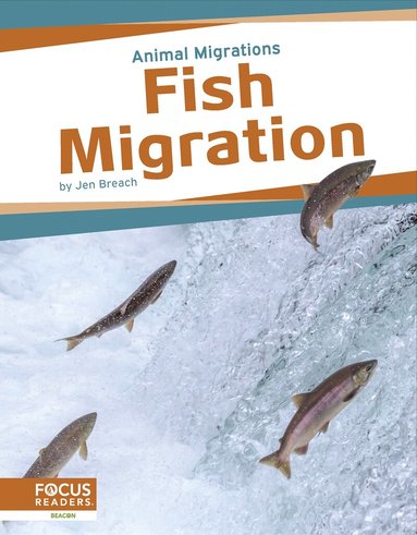 Jen Breach - Fish Migration, Inbunden