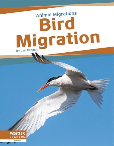 Jen Breach - Bird Migration, Häftad
