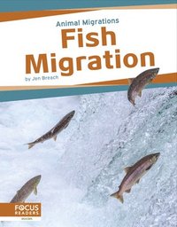 bokomslag Animal Migrations: Fish Migration