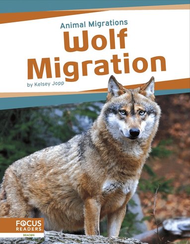Kelsey Jopp - Wolf Migration, Häftad