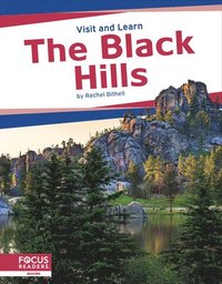 bokomslag The Black Hills