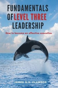 bokomslag Fundamentals of Level Three Leadership