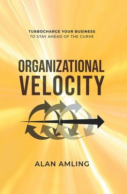 Sylvana Storey - Organizational Velocity, Inbunden
