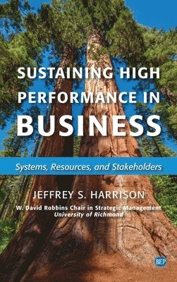 Jeffrey S. Harrison - Sustaining High Performance in Business: Systems, Resources, and Stakeholders, Inbunden