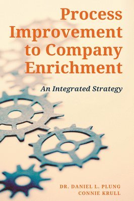 bokomslag Process Improvement to Company Enrichment