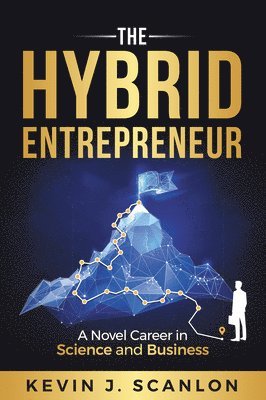 bokomslag Hybrid Entrepreneur