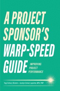bokomslag A Project Sponsor's Warp-Speed Guide