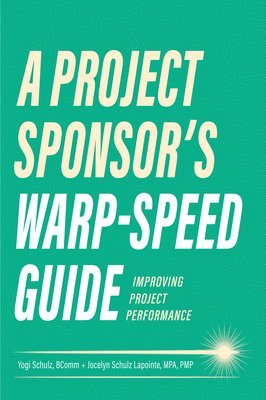 bokomslag A Project Sponsor's Warp-Speed Guide