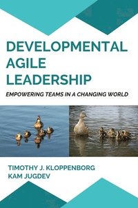 bokomslag Developmental Agile Leadership