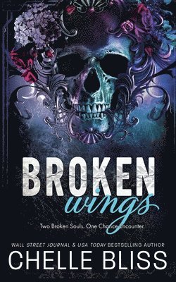 bokomslag Broken Wings