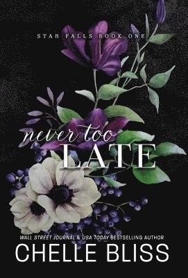 Never Too Late 1