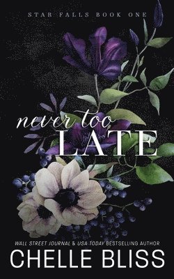 Never Too Late 1