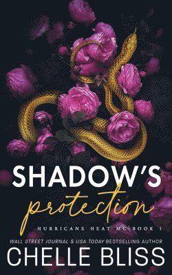 bokomslag Shadow's Protection
