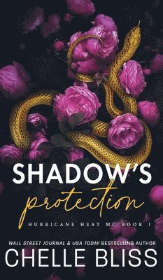 bokomslag Shadow's Protection