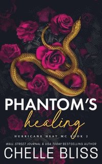 bokomslag Phantom's Healing