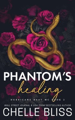 bokomslag Phantom's Healing