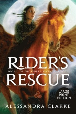 bokomslag Rider's Rescue