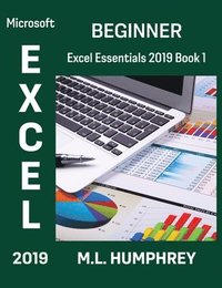 bokomslag Excel 2019 Beginner