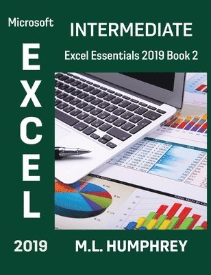 bokomslag Excel 2019 Intermediate