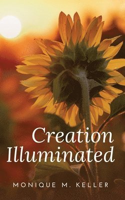 Creation Illuminated 1